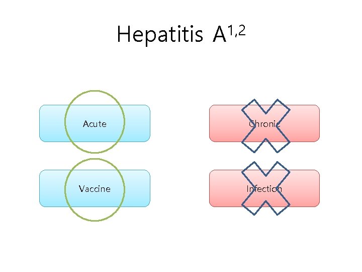 Hepatitis A 1, 2 Acute Chronic Vaccine Infection 
