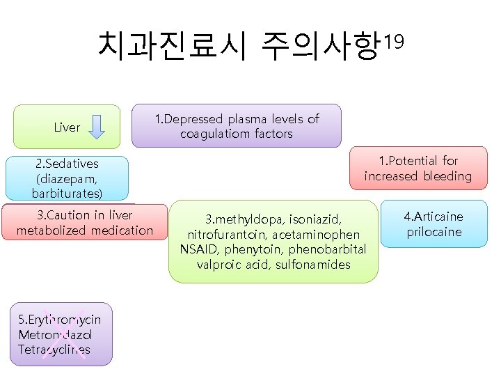 치과진료시 주의사항 19 Liver 2. Sedatives (diazepam, barbiturates) 2. Impair in liver 3. Caution