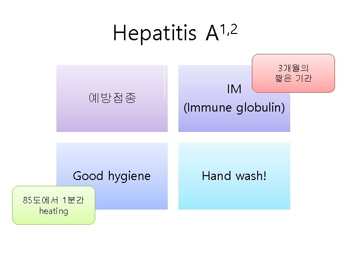 Hepatitis A 1, 2 3개월의 짧은 기간 예방접종 IM (Immune globulin) Good hygiene Hand