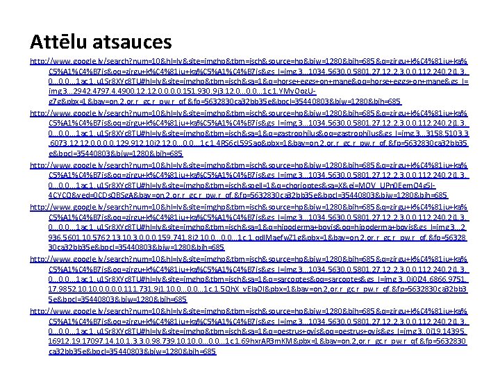 Attēlu atsauces http: //www. google. lv/search? num=10&hl=lv&site=imghp&tbm=isch&source=hp&biw=1280&bih=685&q=zirgu+k%C 4%81 ju+ka% C 5%A 1%C 4%B 7 Attēlu atsauces http: //www. google. lv/search? num=10&hl=lv&site=imghp&tbm=isch&source=hp&biw=1280&bih=685&q=zirgu+k%C 4%81 ju+ka% C 5%A 1%C 4%B 7