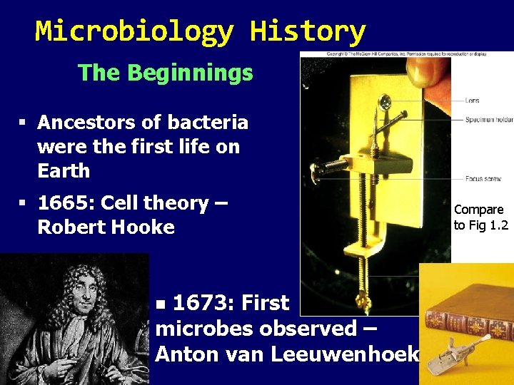 Microbiology History The Beginnings Ancestors of bacteria were the first life on Earth 1665: