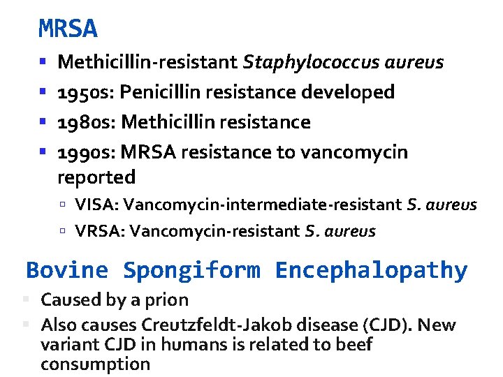 MRSA Methicillin-resistant Staphylococcus aureus 1950 s: Penicillin resistance developed 1980 s: Methicillin resistance 1990