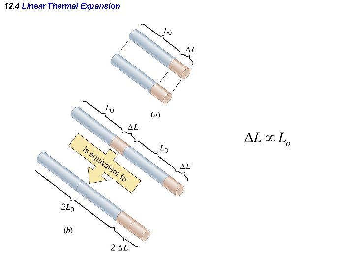 12. 4 Linear Thermal Expansion 