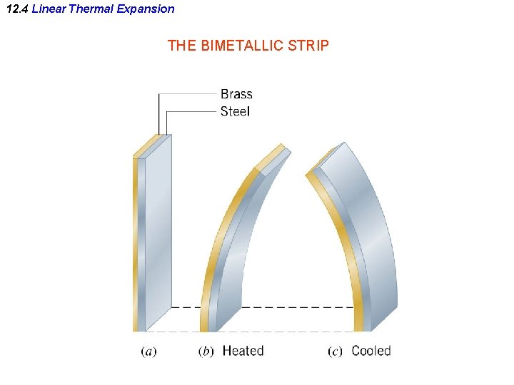 12. 4 Linear Thermal Expansion THE BIMETALLIC STRIP 