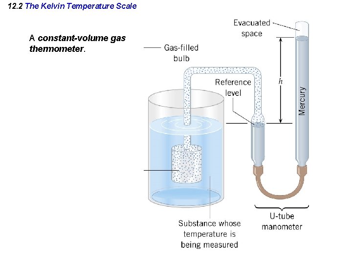 12. 2 The Kelvin Temperature Scale A constant-volume gas thermometer. 