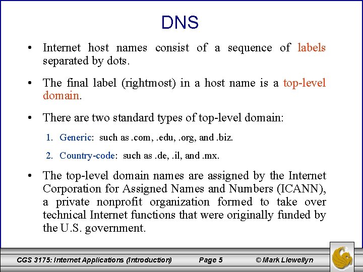 DNS • Internet host names consist of a sequence of labels separated by dots.