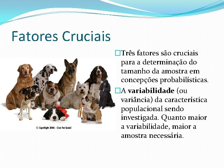 Fatores Cruciais �Três fatores são cruciais para a determinação do tamanho da amostra em