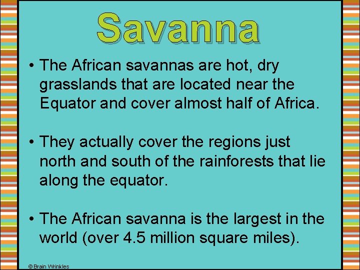 Savanna • The African savannas are hot, dry grasslands that are located near the