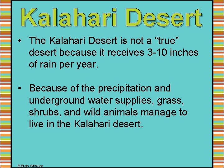 Kalahari Desert • The Kalahari Desert is not a “true” desert because it receives