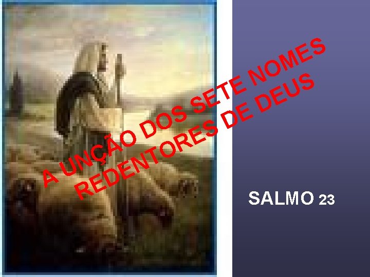 S E M O N S E U T E E D S E