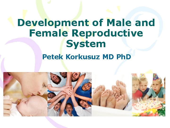 Development of Male and Female Reproductive System Petek Korkusuz MD Ph. D 