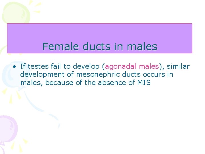 Female ducts in males • If testes fail to develop (agonadal males), similar development