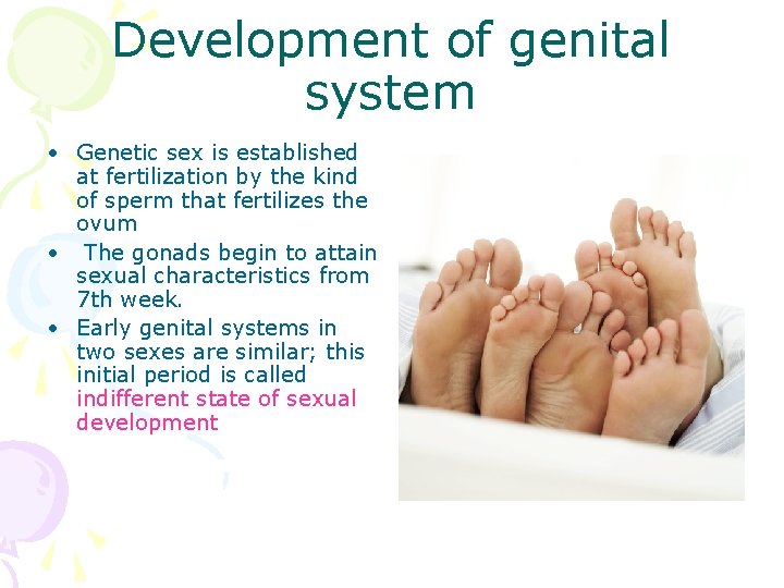 Development of genital system • Genetic sex is established at fertilization by the kind