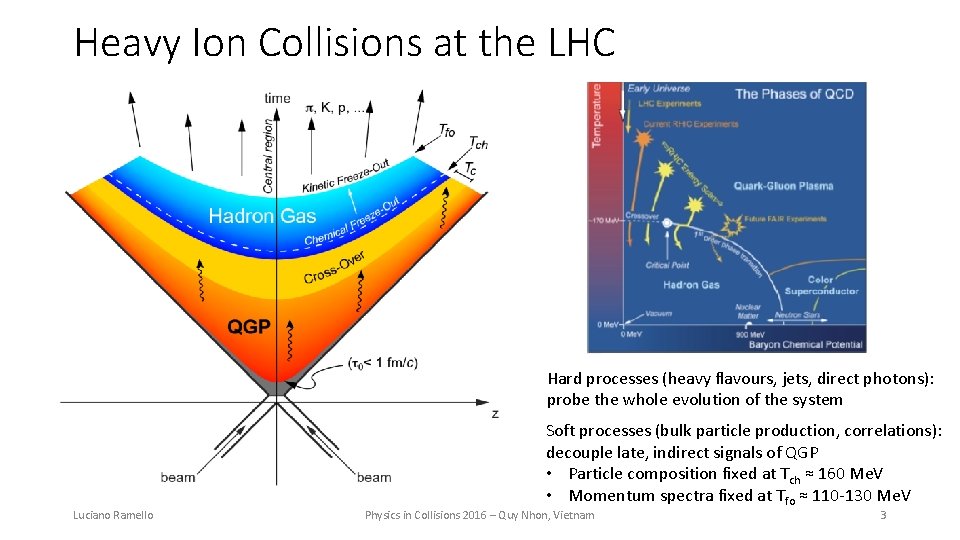 Heavy Ion Collisions at the LHC Hard processes (heavy flavours, jets, direct photons): probe