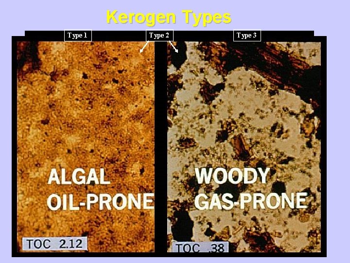 Kerogen Types Type 1 Type 2 Type 3 