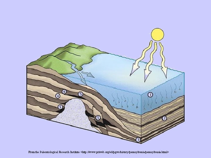 From the Paleontological Research Institute <http: //www. priweb. org/ed/pgws/history/pennsylvania. html> 