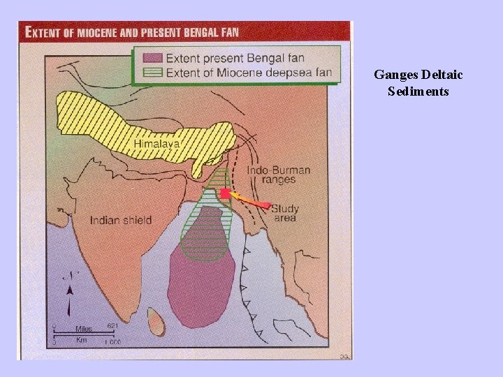Ganges Deltaic Sediments 