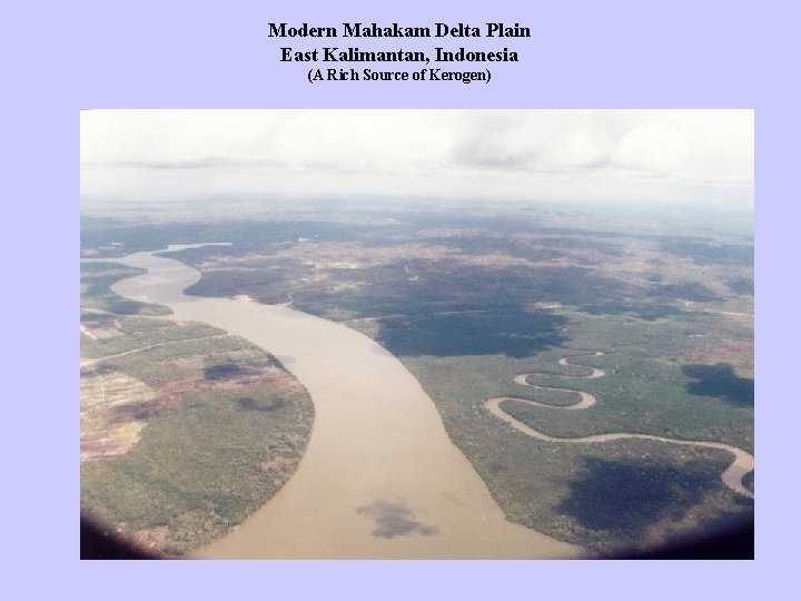 Modern Mahakam Delta Plain East Kalimantan, Indonesia (A Rich Source of Kerogen) 