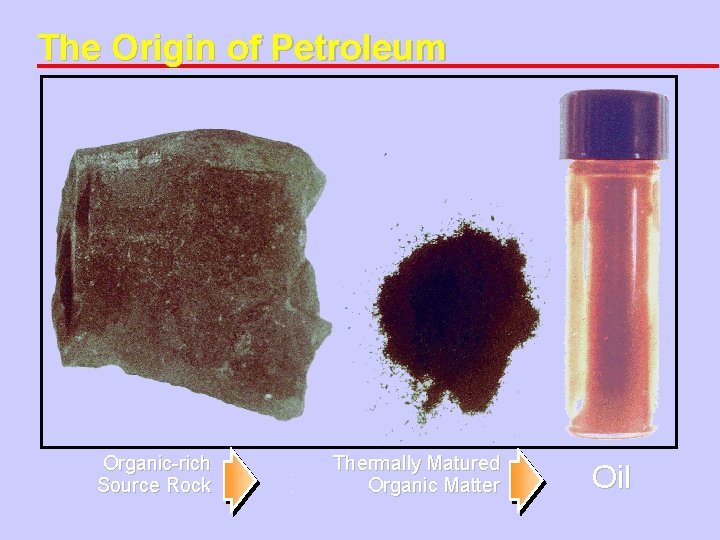 The Origin of Petroleum Organic-rich Source Rock Thermally Matured Organic Matter Oil 