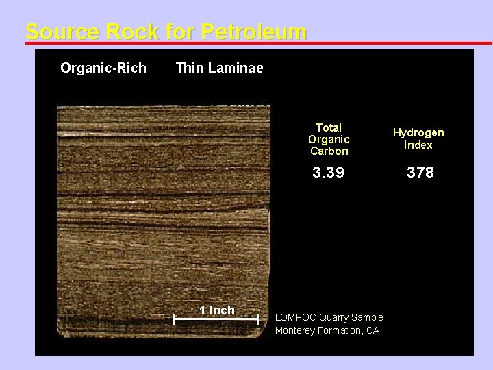 Source Rock for Petroleum Organic-Rich Thin Laminae 1 Inch Total Organic Carbon Hydrogen Index