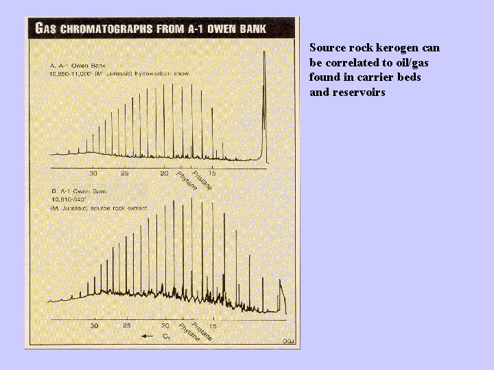 Source rock kerogen can be correlated to oil/gas found in carrier beds and reservoirs