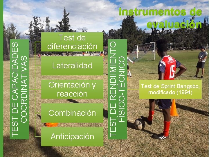 Test de diferenciación Lateralidad Orientación y reacción Combinación Anticipación TEST DE RENDIIMIENTO FÍSICO-TÉCNICO TEST