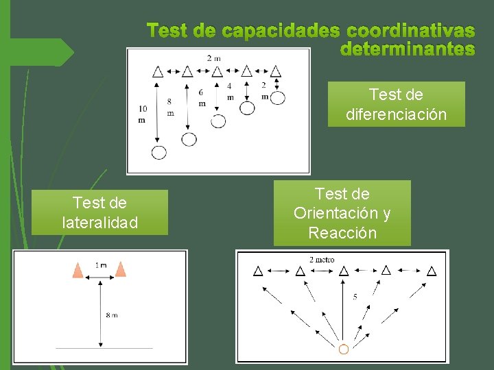 Test de capacidades coordinativas determinantes Test de diferenciación Test de lateralidad Test de Orientación