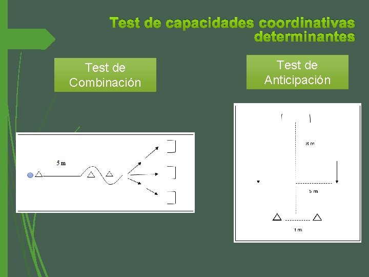 Test de capacidades coordinativas determinantes Test de Combinación Test de Anticipación 