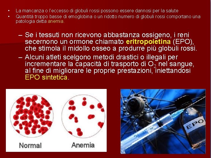  • • La mancanza o l’eccesso di globuli rossi possono essere dannosi per