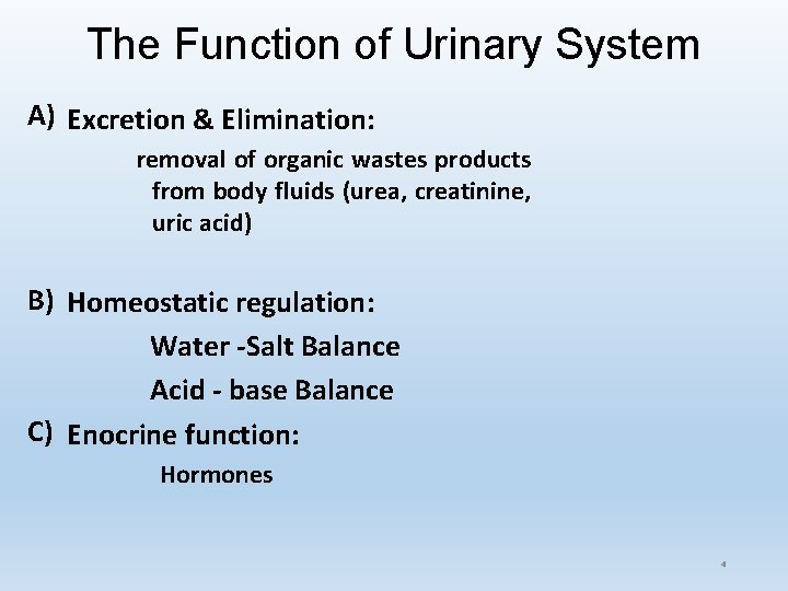 The Function of Urinary System A) Excretion & Elimination: removal of organic wastes products The Function of Urinary System A) Excretion & Elimination: removal of organic wastes products