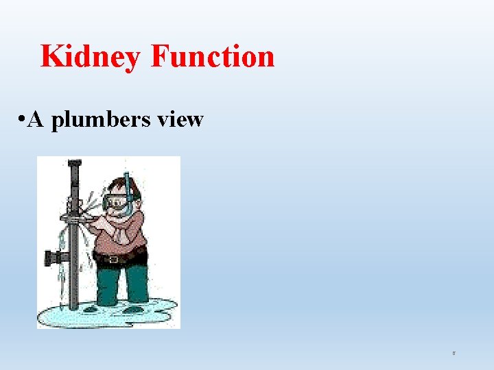 Kidney Function • A plumbers view 6 Kidney Function • A plumbers view 6