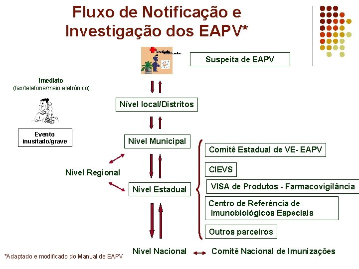 Fluxo de Notificação e Investigação dos EAPV* Unidade Notificador a Suspeita de EAPV Imediato