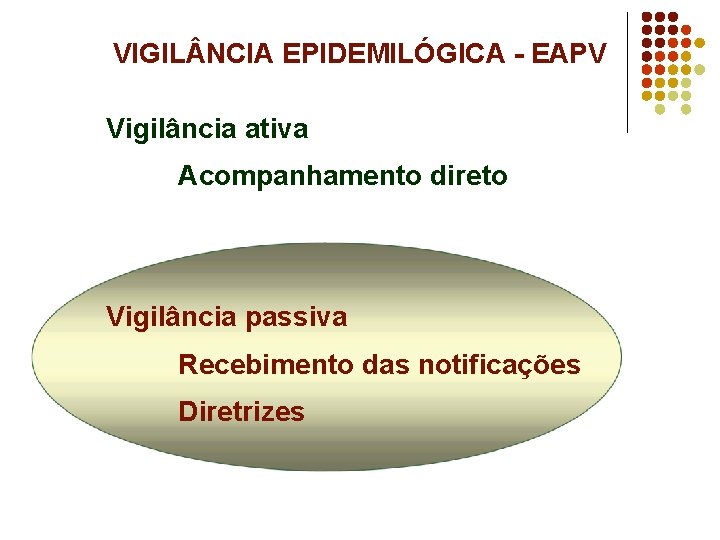 VIGIL NCIA EPIDEMILÓGICA - EAPV Vigilância ativa Acompanhamento direto Vigilância passiva Recebimento das notificações