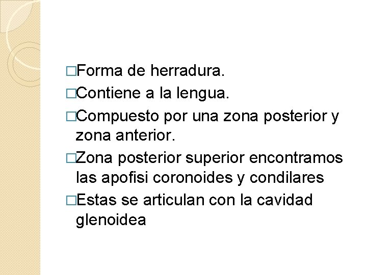 �Forma de herradura. �Contiene a la lengua. �Compuesto por una zona posterior y zona