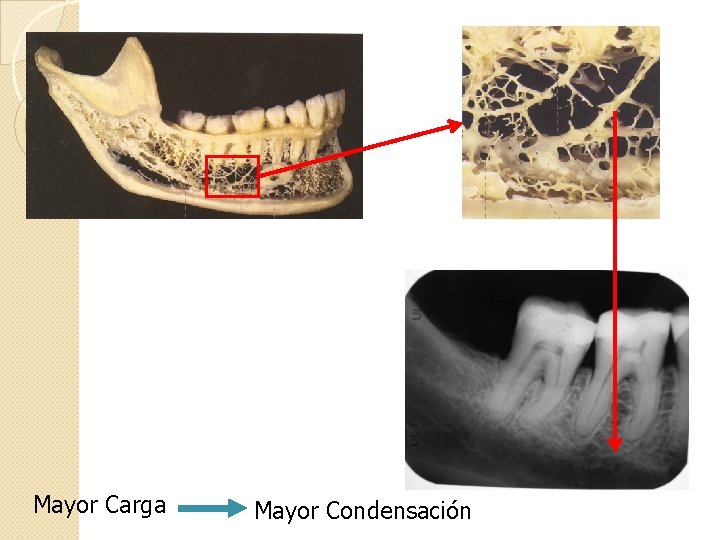 Mayor Carga Mayor Condensación 