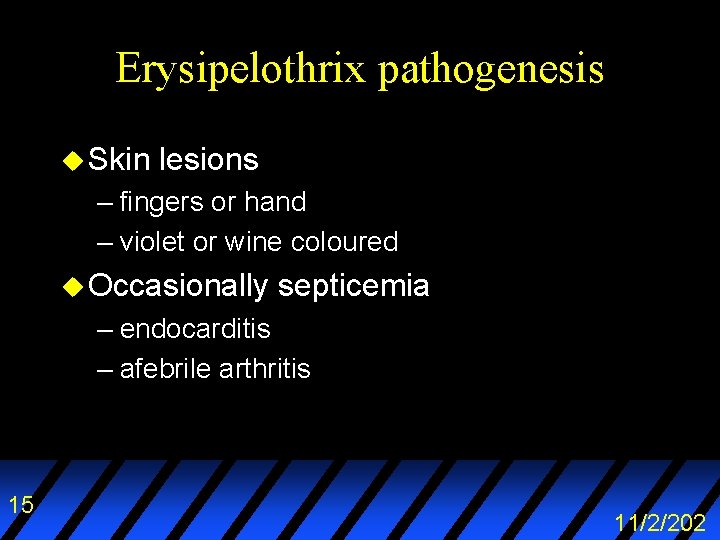 Erysipelothrix pathogenesis u Skin lesions – fingers or hand – violet or wine coloured