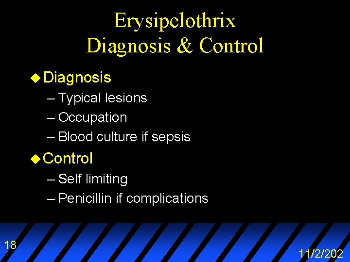 Erysipelothrix Diagnosis & Control u Diagnosis – Typical lesions – Occupation – Blood culture