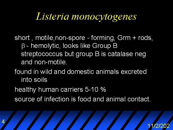 Listeria monocytogenes short , motile, non-spore - forming, Grm + rods, - hemolytic, looks