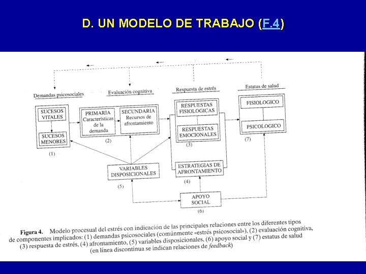 D. UN MODELO DE TRABAJO (F. 4) 