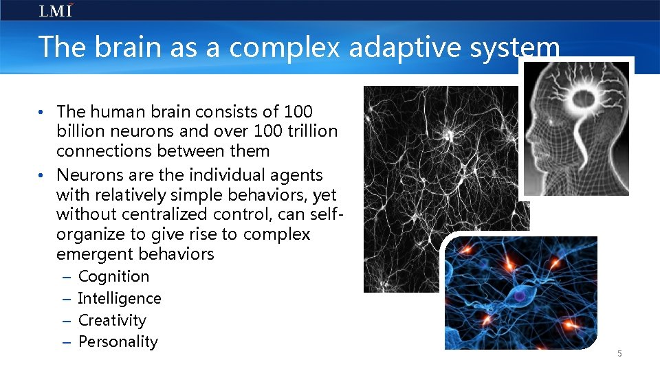 The brain as a complex adaptive system • The human brain consists of 100
