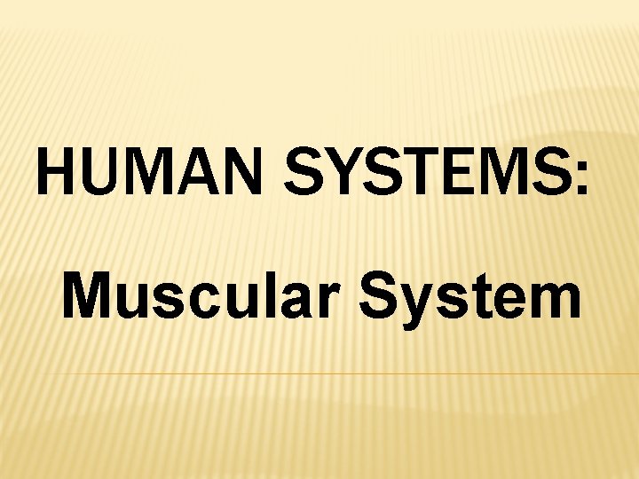 HUMAN SYSTEMS: Muscular System 