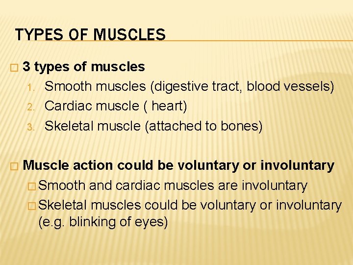 TYPES OF MUSCLES � 3 types of muscles 1. Smooth muscles (digestive tract, blood