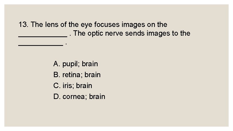 13. The lens of the eye focuses images on the ______. The optic nerve