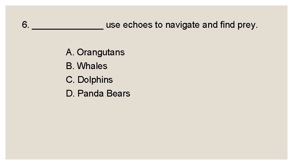 6. _______ use echoes to navigate and find prey. A. Orangutans B. Whales C.