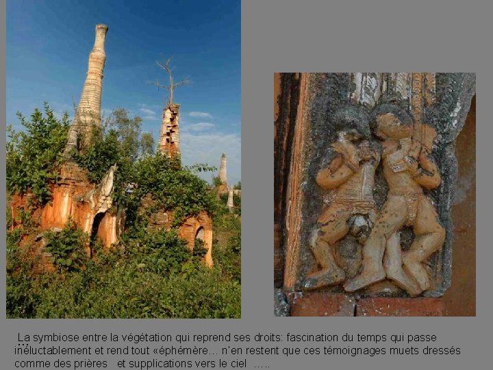 La symbiose entre la végétation qui reprend ses droits: fascination du temps qui passe