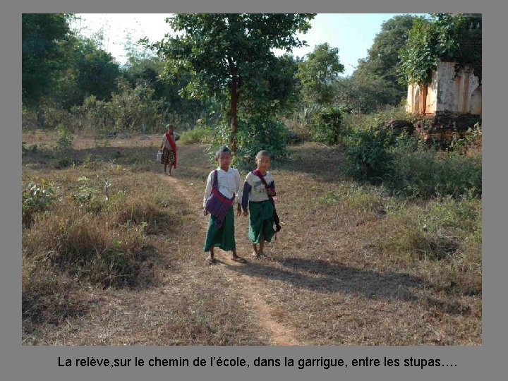 La relève, sur le chemin de l’école, dans la garrigue, entre les stupas…. 