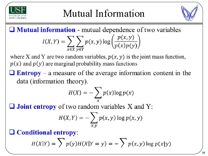 Mutual Information q 20 