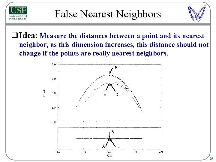 False Nearest Neighbors q Idea: Measure the distances between a point and its nearest