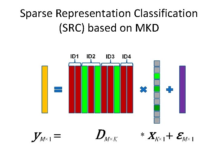 Sparse Representation Classification (SRC) based on MKD 