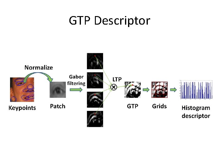 GTP Descriptor 